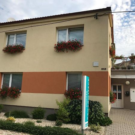 Apartment Corriger Ústí nad Orlicí Eksteriør bilde