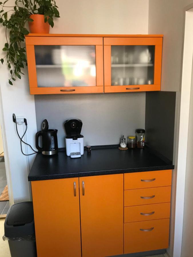 Apartment Corriger Ústí nad Orlicí Eksteriør bilde